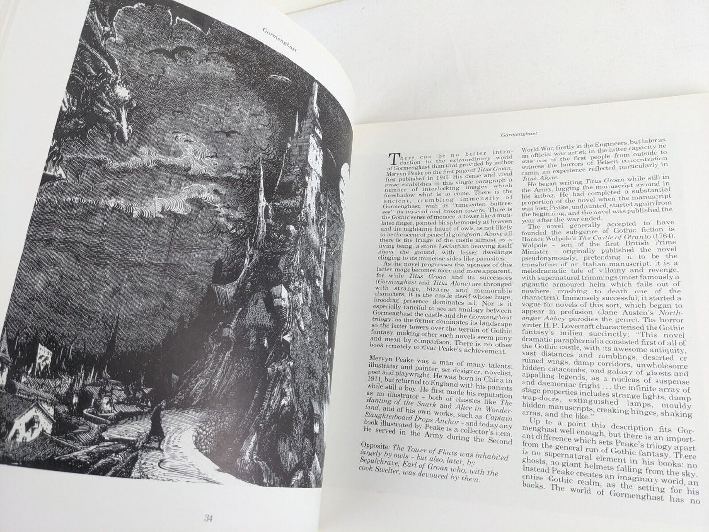 Realms of fantasy by Malcolm Edwards & Robert Holdstock 1983 Fantasy Art