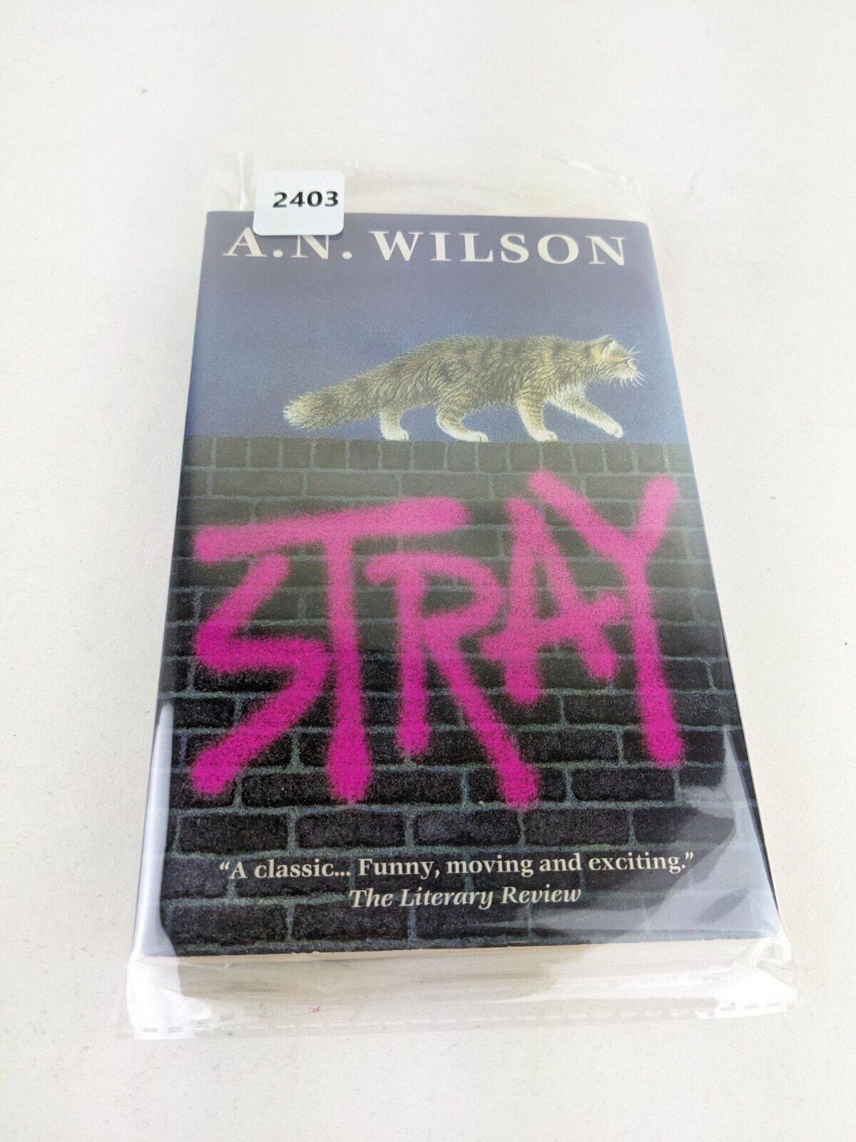 Stray by A.N. Wilson 2002