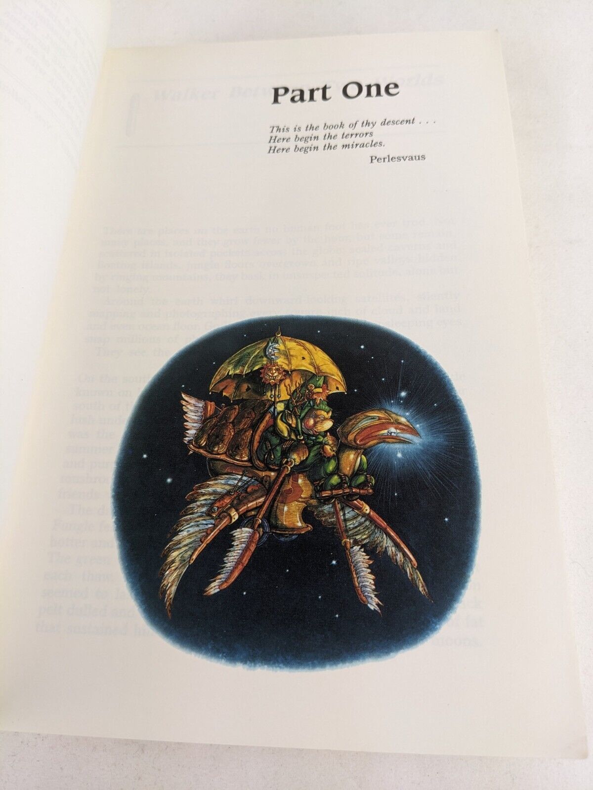 The Gnole by Alan Aldridge, Steve Boyett, Maxine Miller 1991
