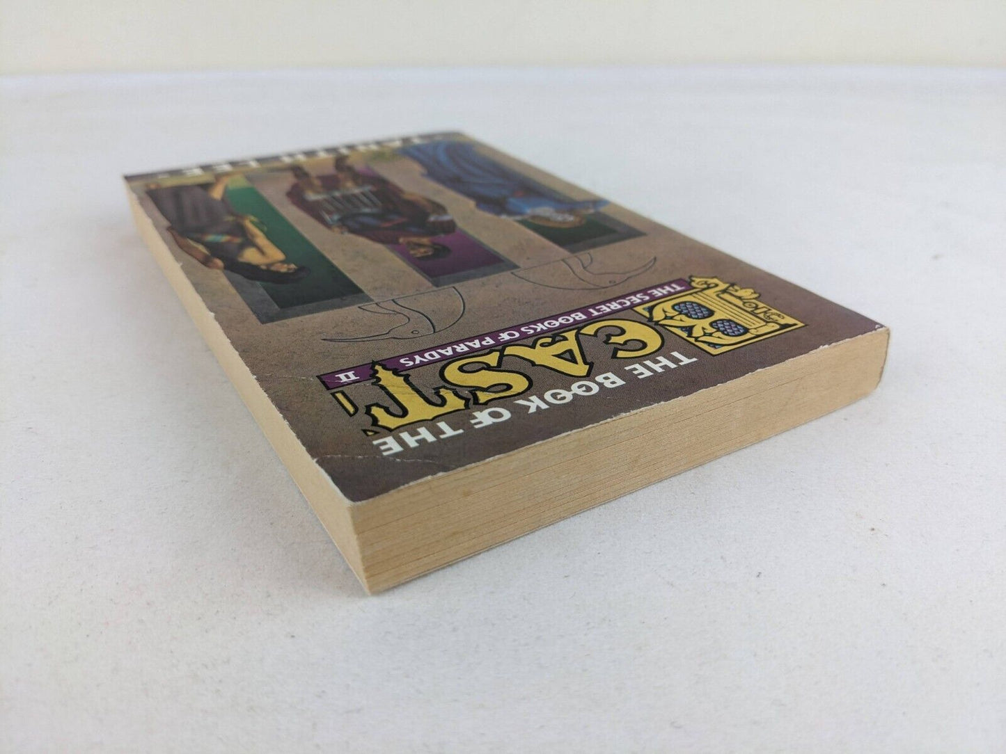 The book of the beast by Tanith Lee 1989 Secret books of Paradys