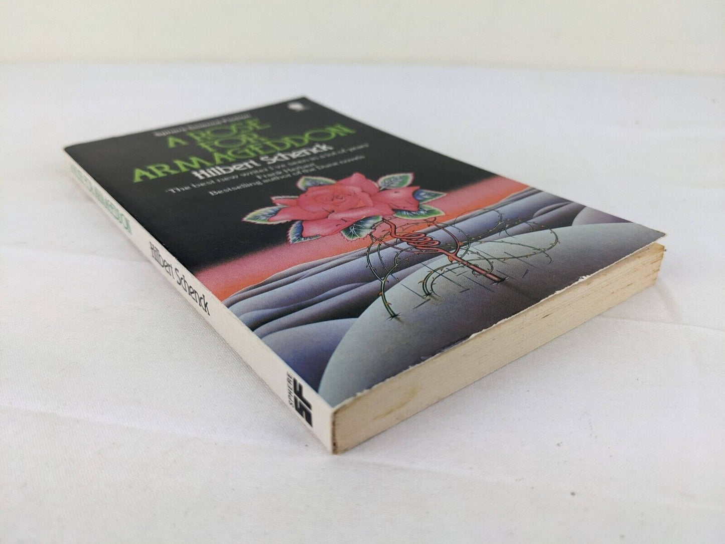 A rose for armageddon by Hilbert Schenck 1984