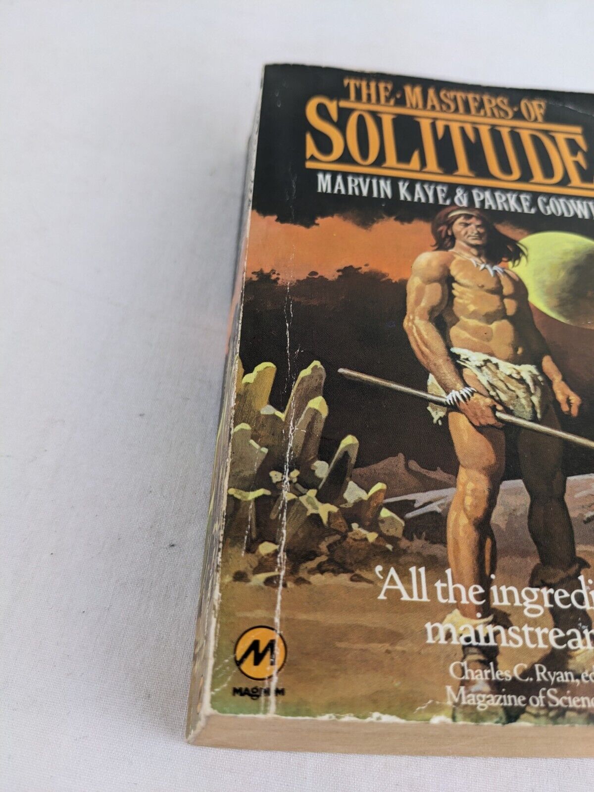 The masters of solitude by Marvin Kaye / Peake Godwin 1979