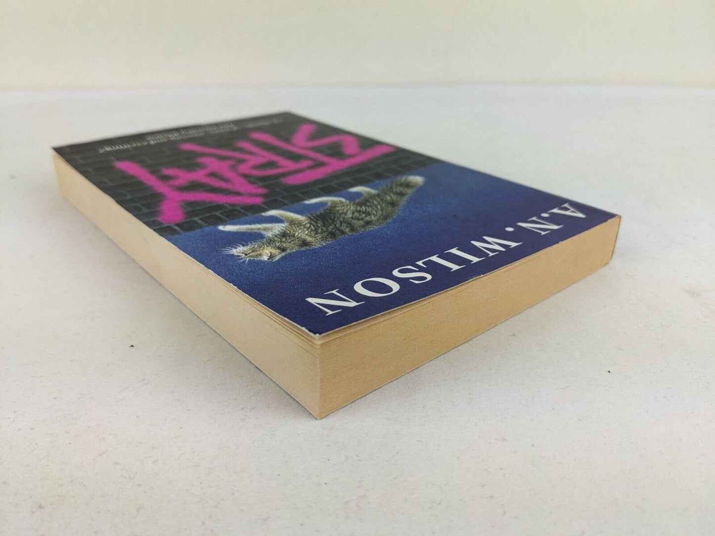 Stray by A.N. Wilson 2002