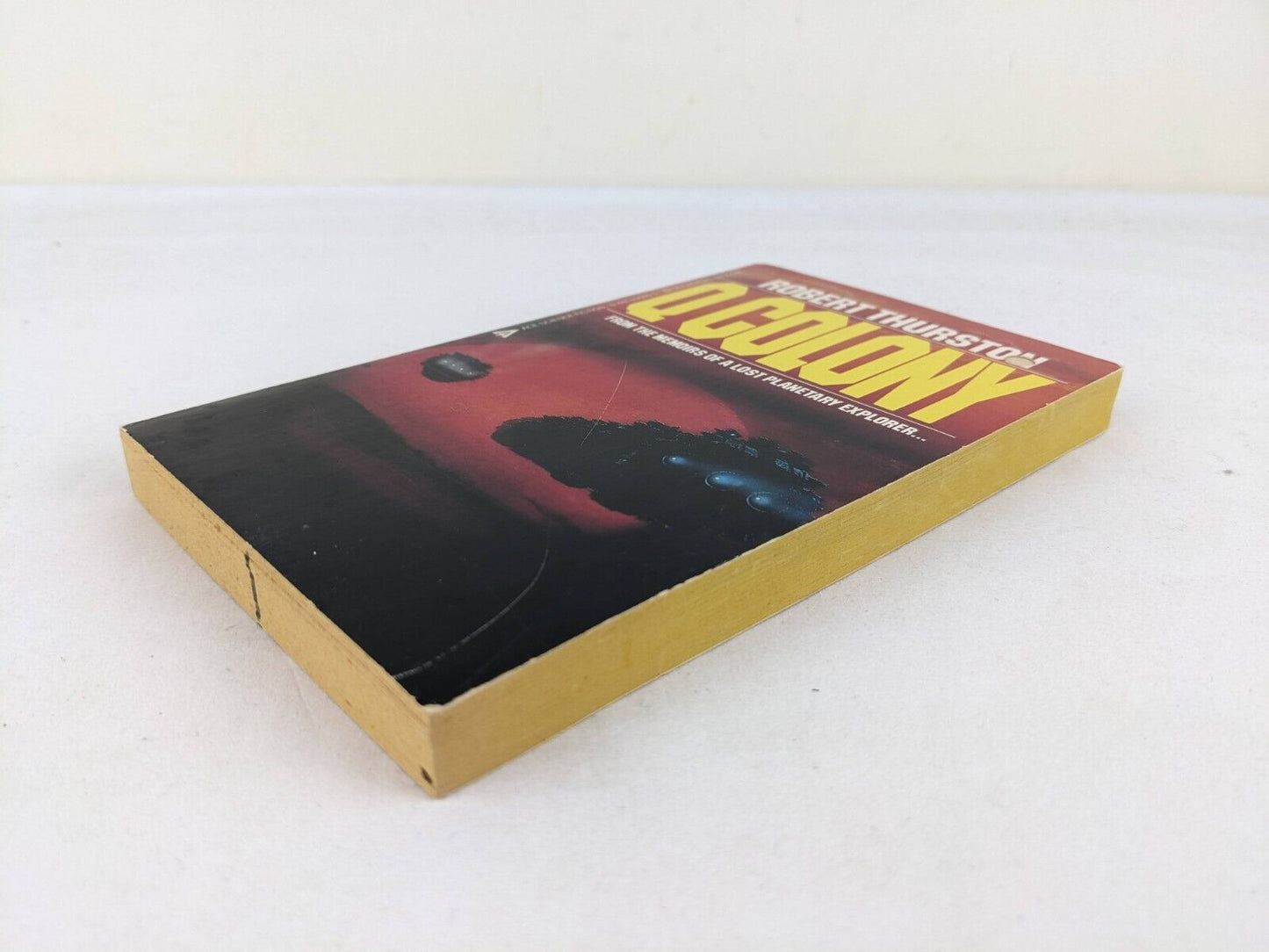 Q colony by Robert Thurston 1985