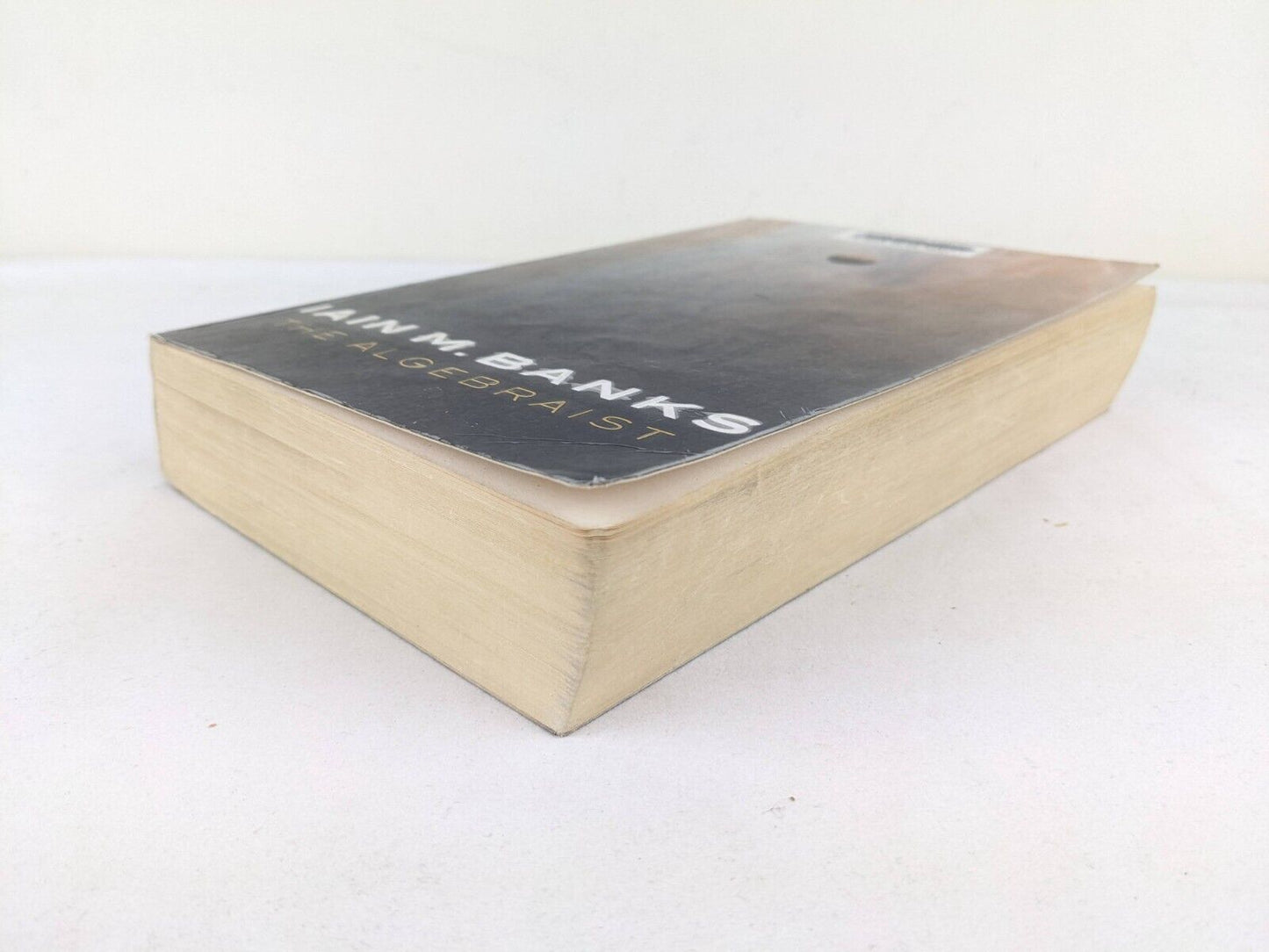 The Algebraist by Iain M. Banks 2004 (Ex-library book)