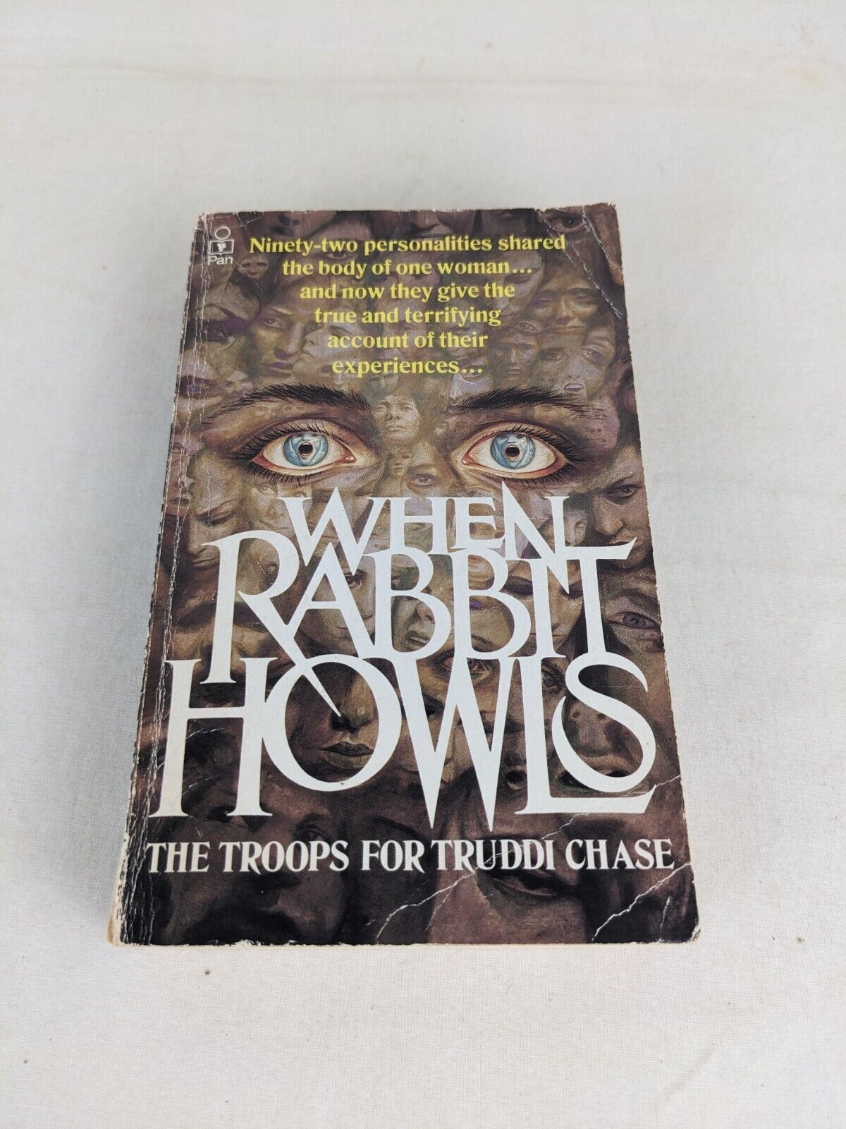 When rabbit howls: The troops for Truddi Chase 1988 Multiple Personalities