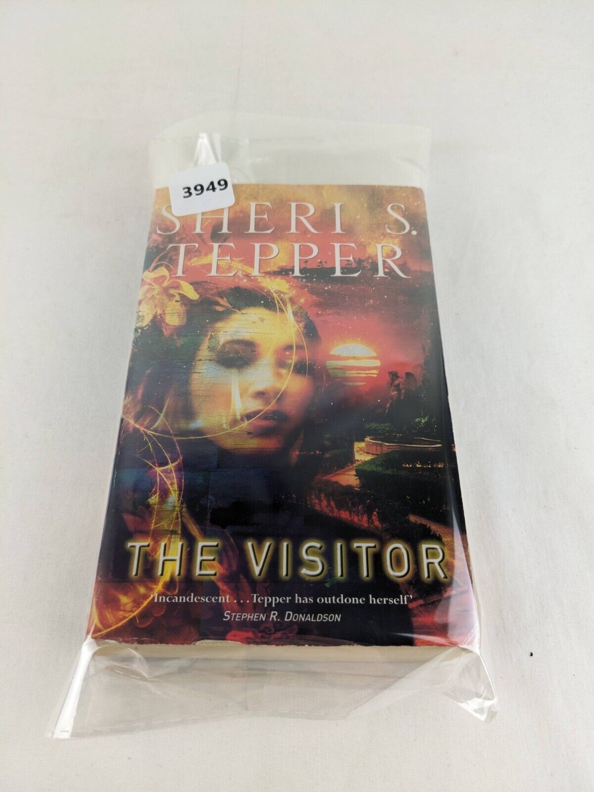 The visitor by Sheri S. Tepper 2003