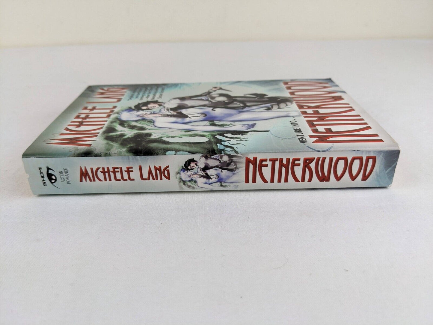 Netherwood by Michele Lang 2008