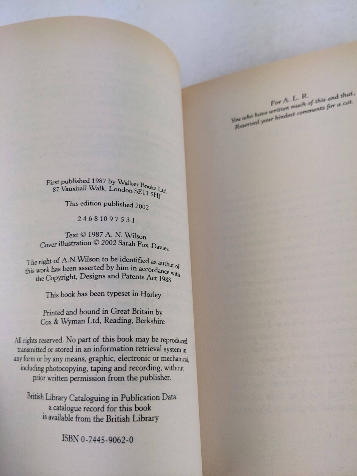 Stray by A.N. Wilson 2002