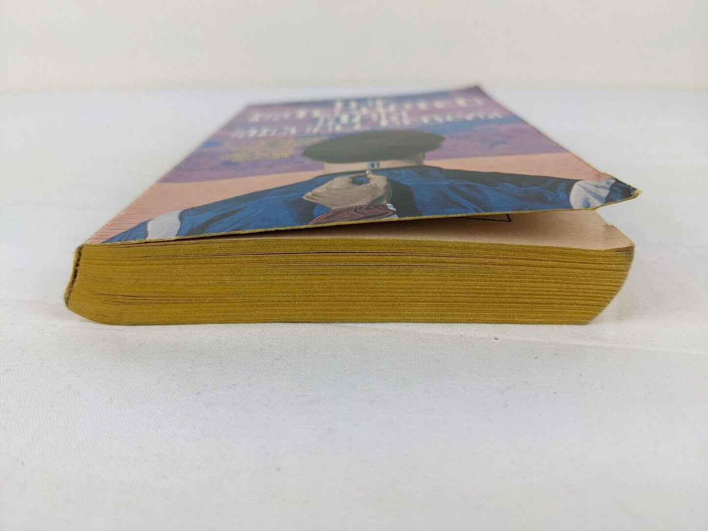 The integrated man by Michael Berlyn 1980