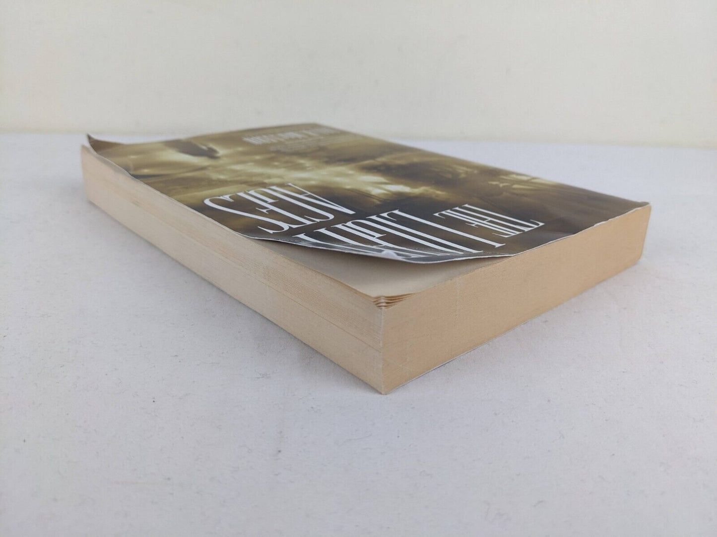 The light ages by Ian R. MacLeod 2004