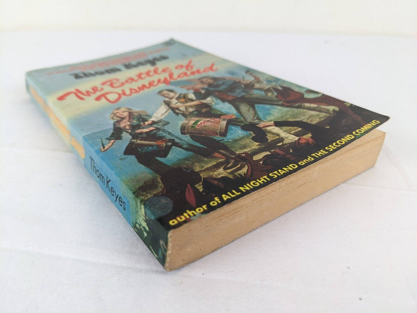 The battle of Disneyland by Thom Keyes 1974