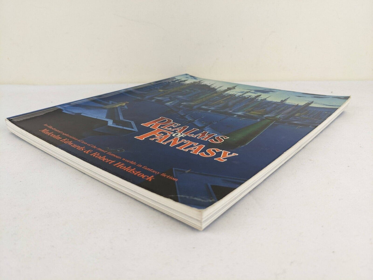 Realms of fantasy by Malcolm Edwards & Robert Holdstock 1983 Fantasy Art