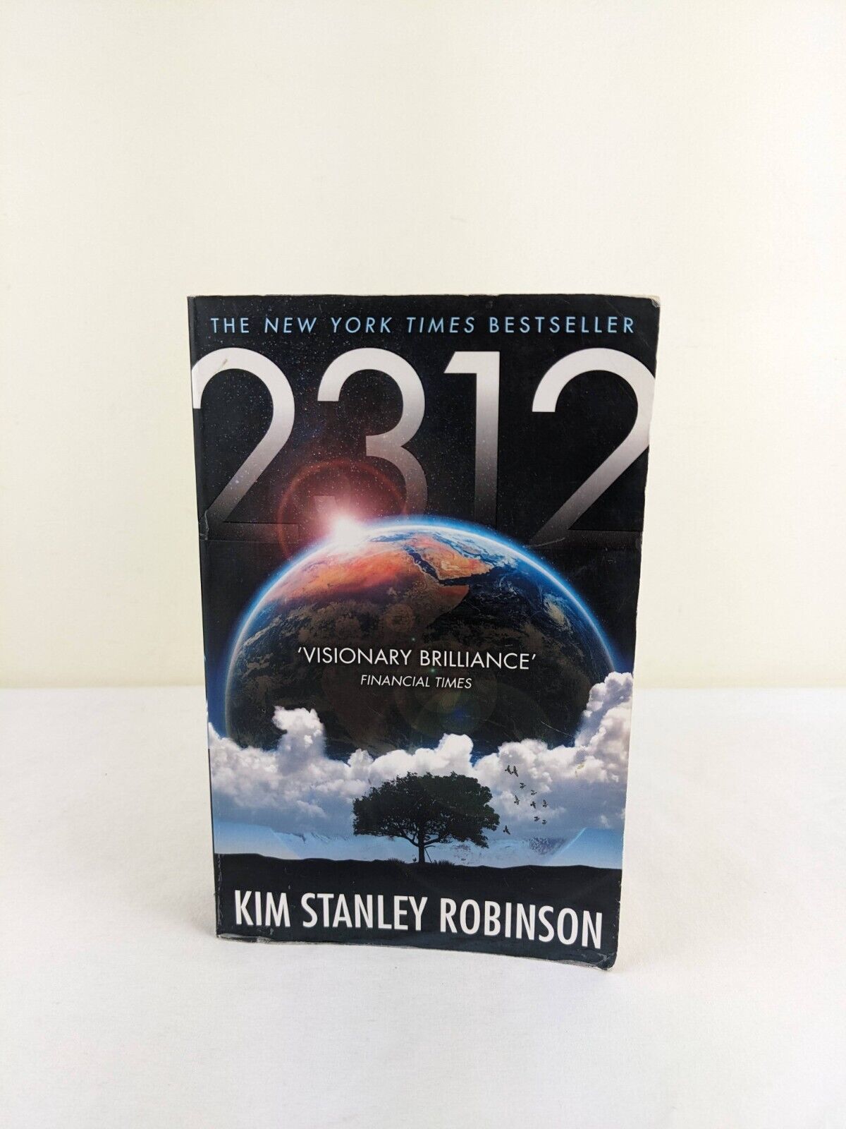 2312 by Kim Stanley Robinson 2013