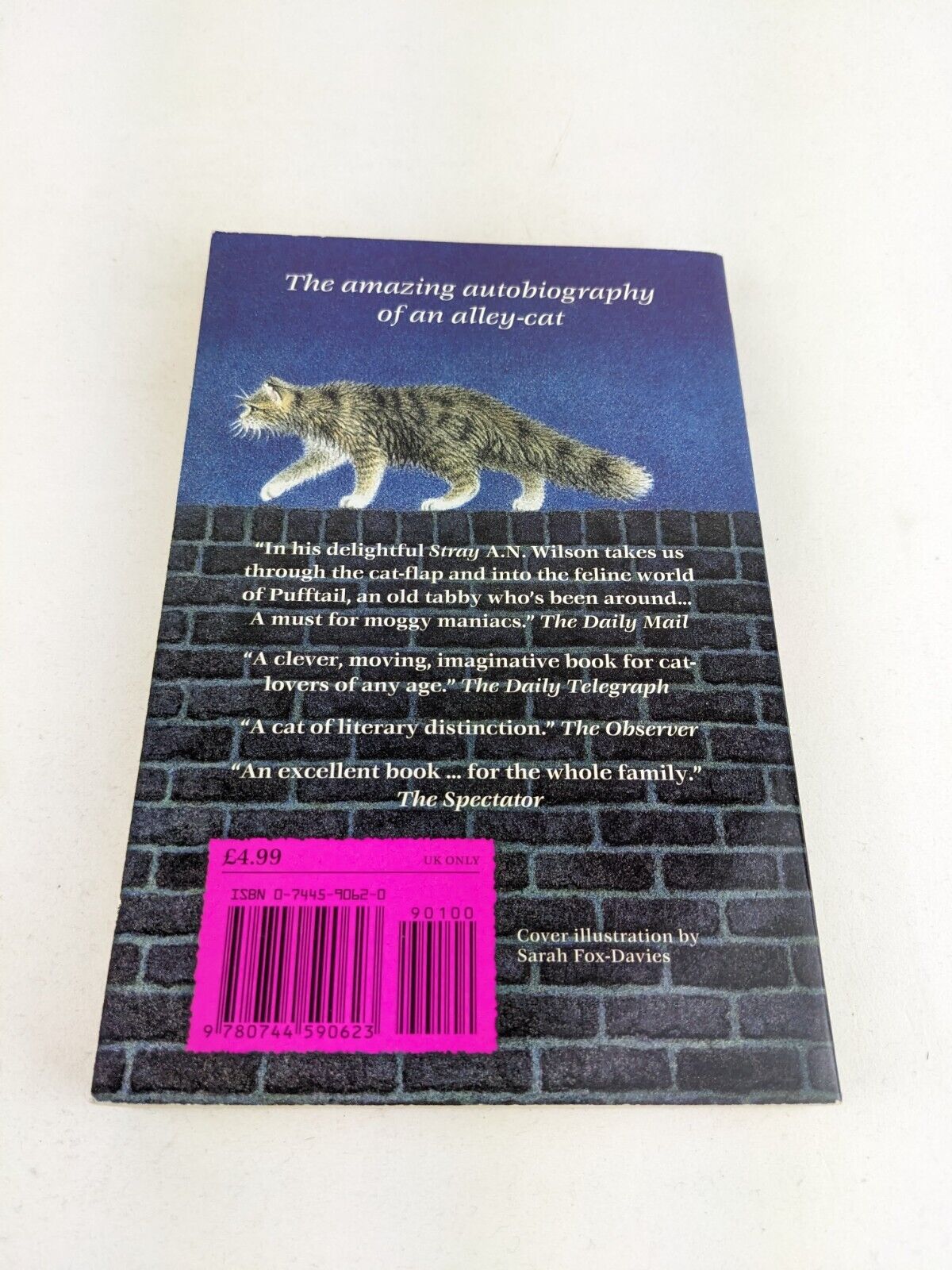 Stray by A.N. Wilson 2002