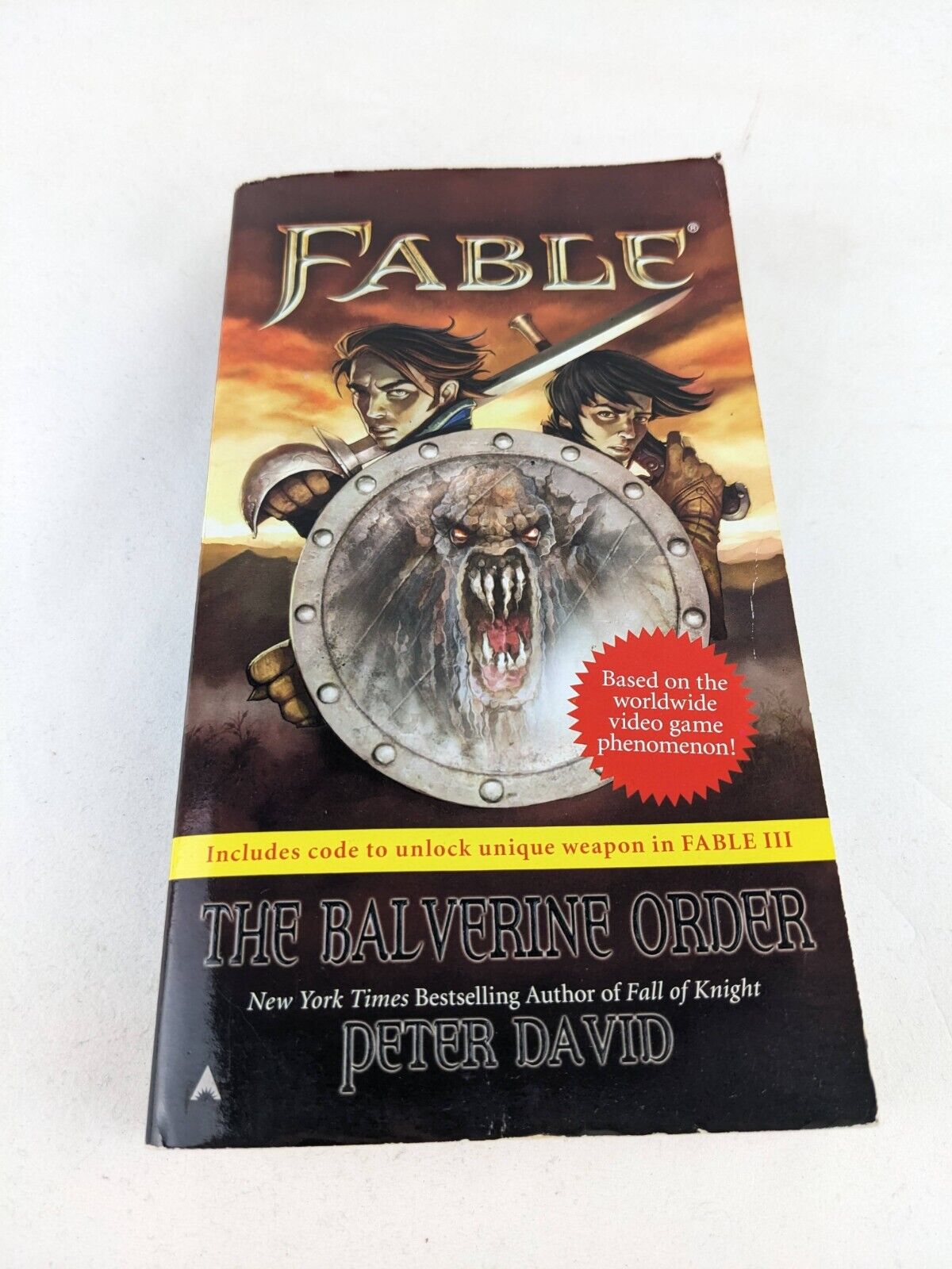 Fable: The balvarine order by Peter David 2010