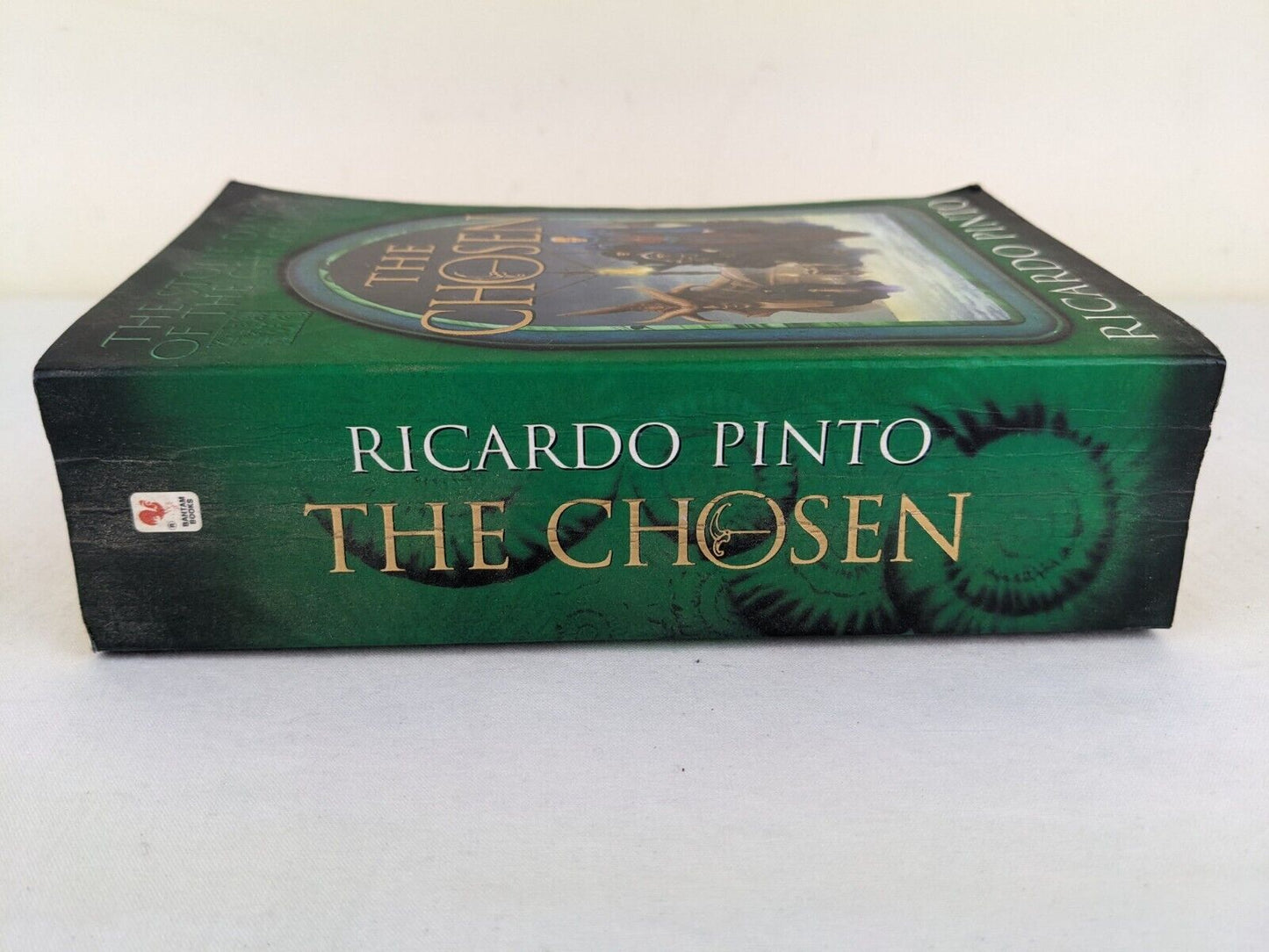 The chosen by Ricardo Pinto - The stone dance of the chameleon 1999