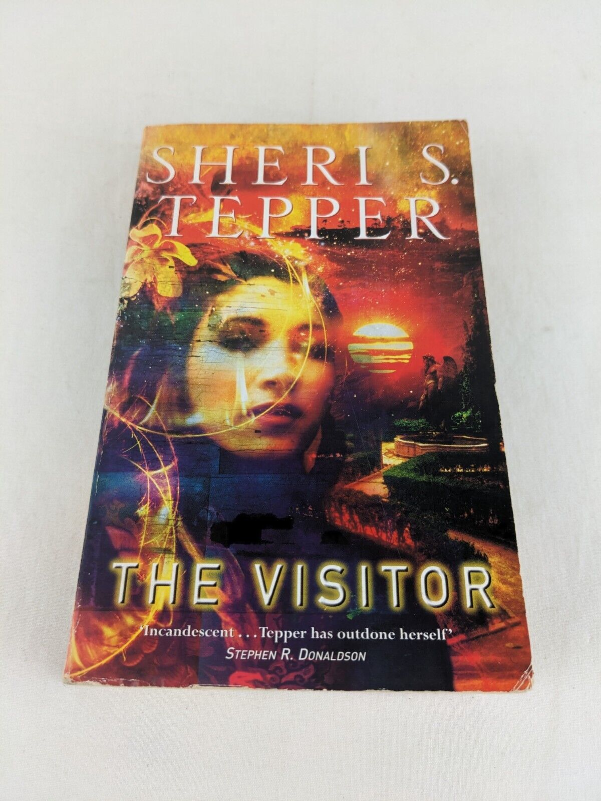 The visitor by Sheri S. Tepper 2003