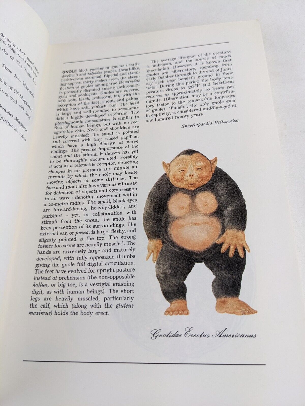 The Gnole by Alan Aldridge, Steve Boyett, Maxine Miller 1991