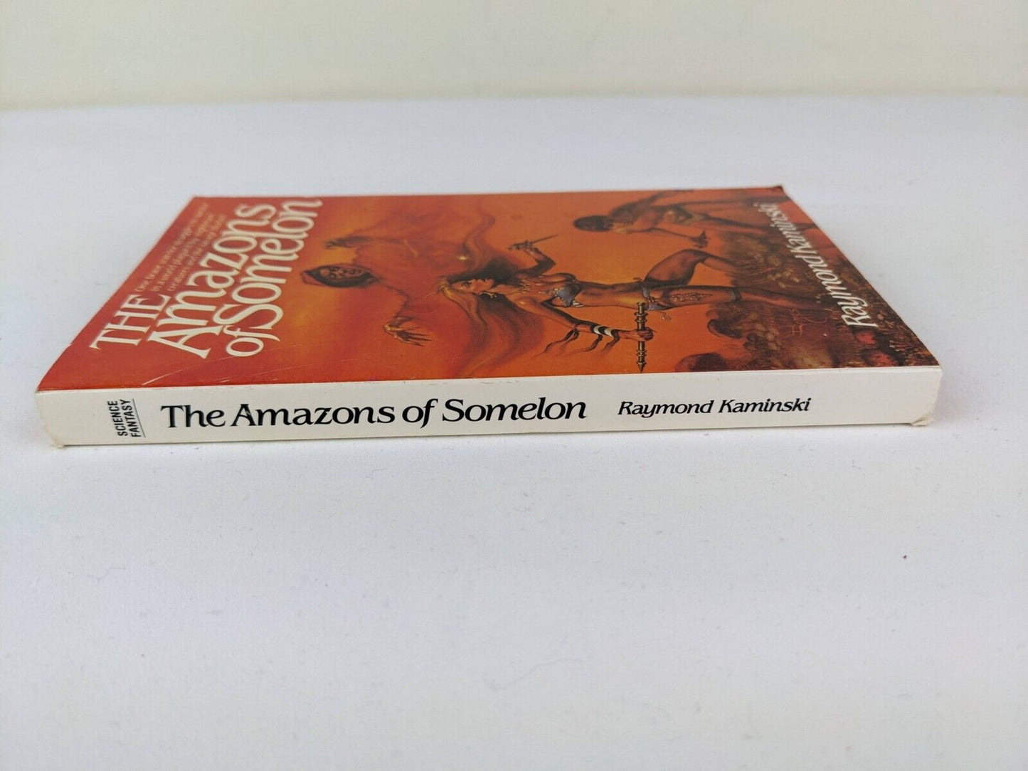 The amazons of Somelon by Raymond Kaminski 1983
