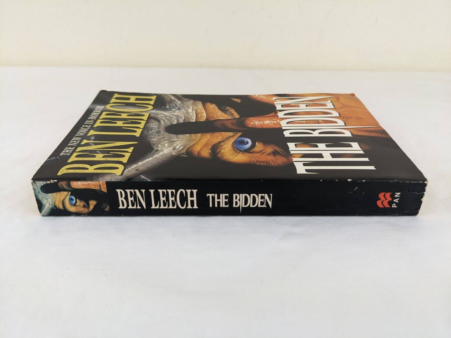 The Bidden by Ben Leech 1994 Horror