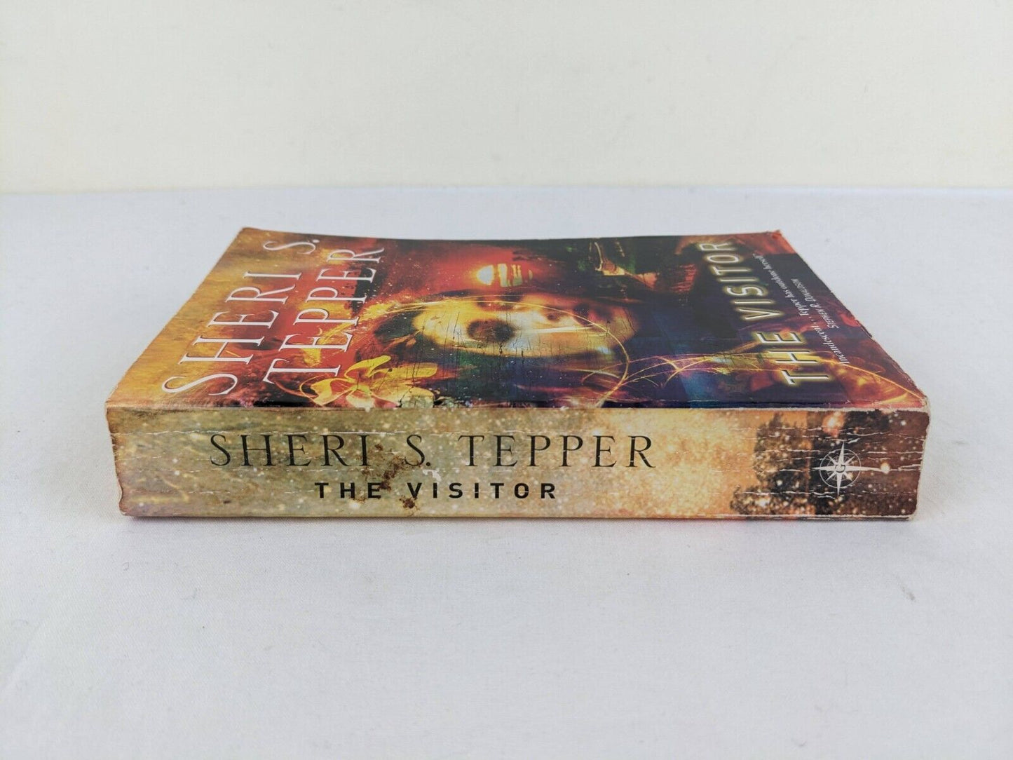 The visitor by Sheri S. Tepper 2003