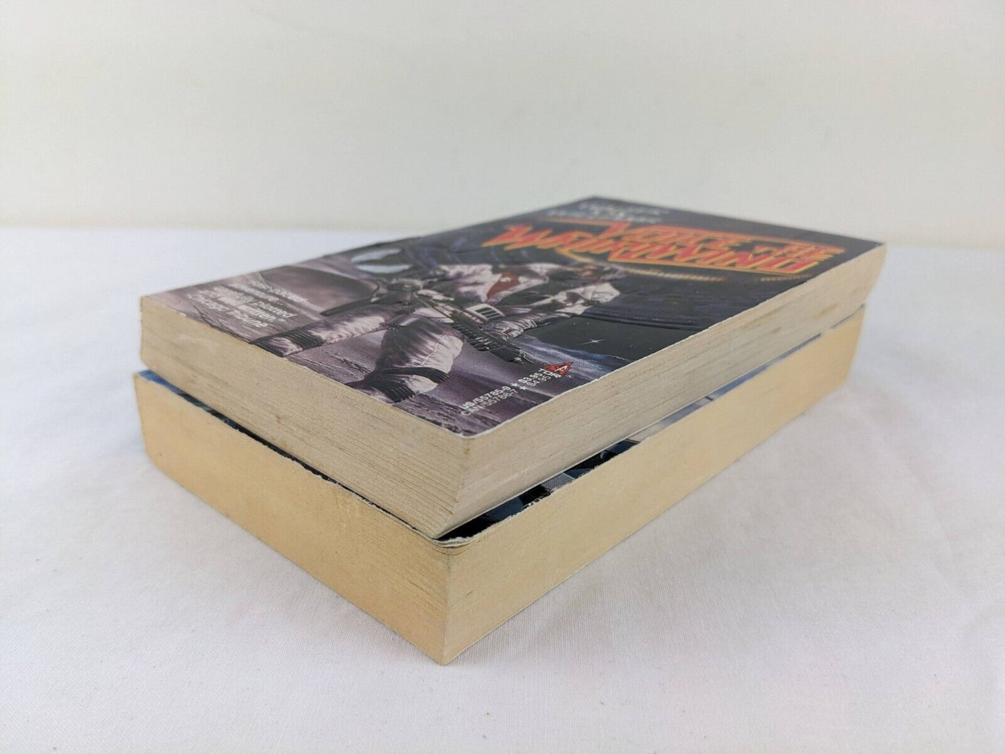 Hardwired & Voice of the whirlwind by Walter Jon Williams 1987