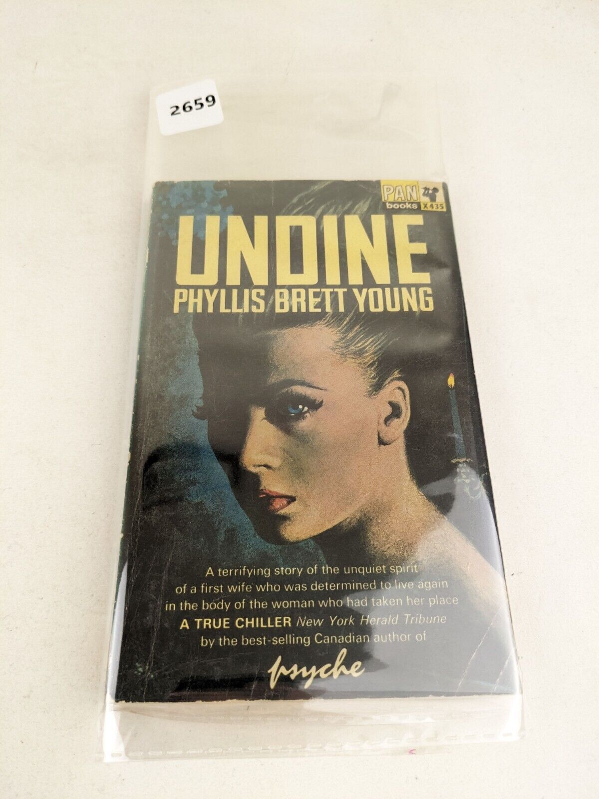 Undine by Phyllis Brett Young 1965 Vintage Pan Books