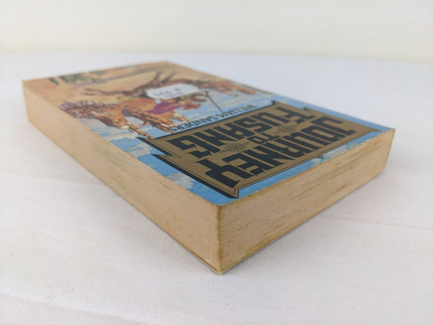 Journey to Fusang by William Sanders 1988