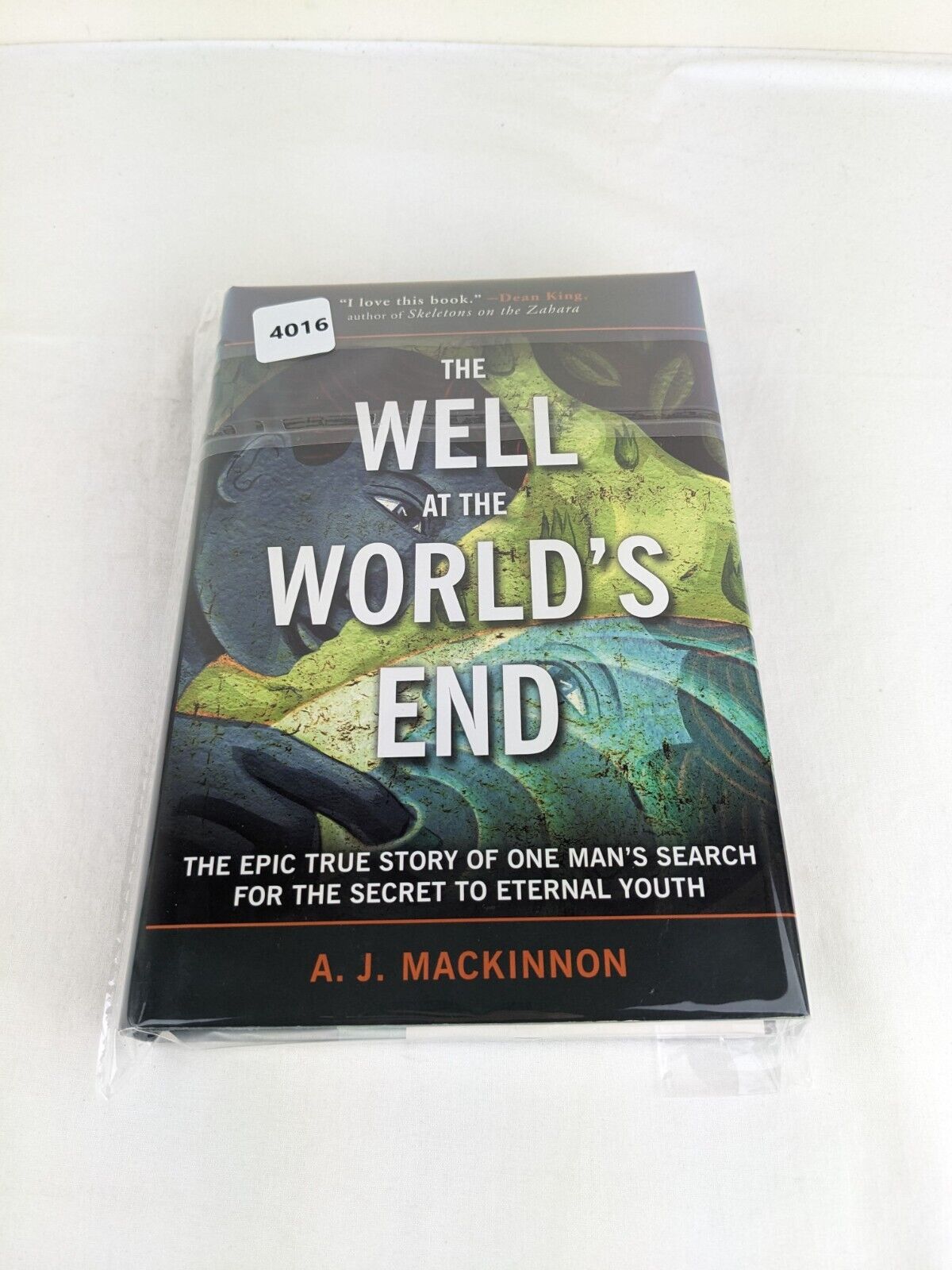 The well at the world's end by A.J. Mackinnon 2011 Hardcover