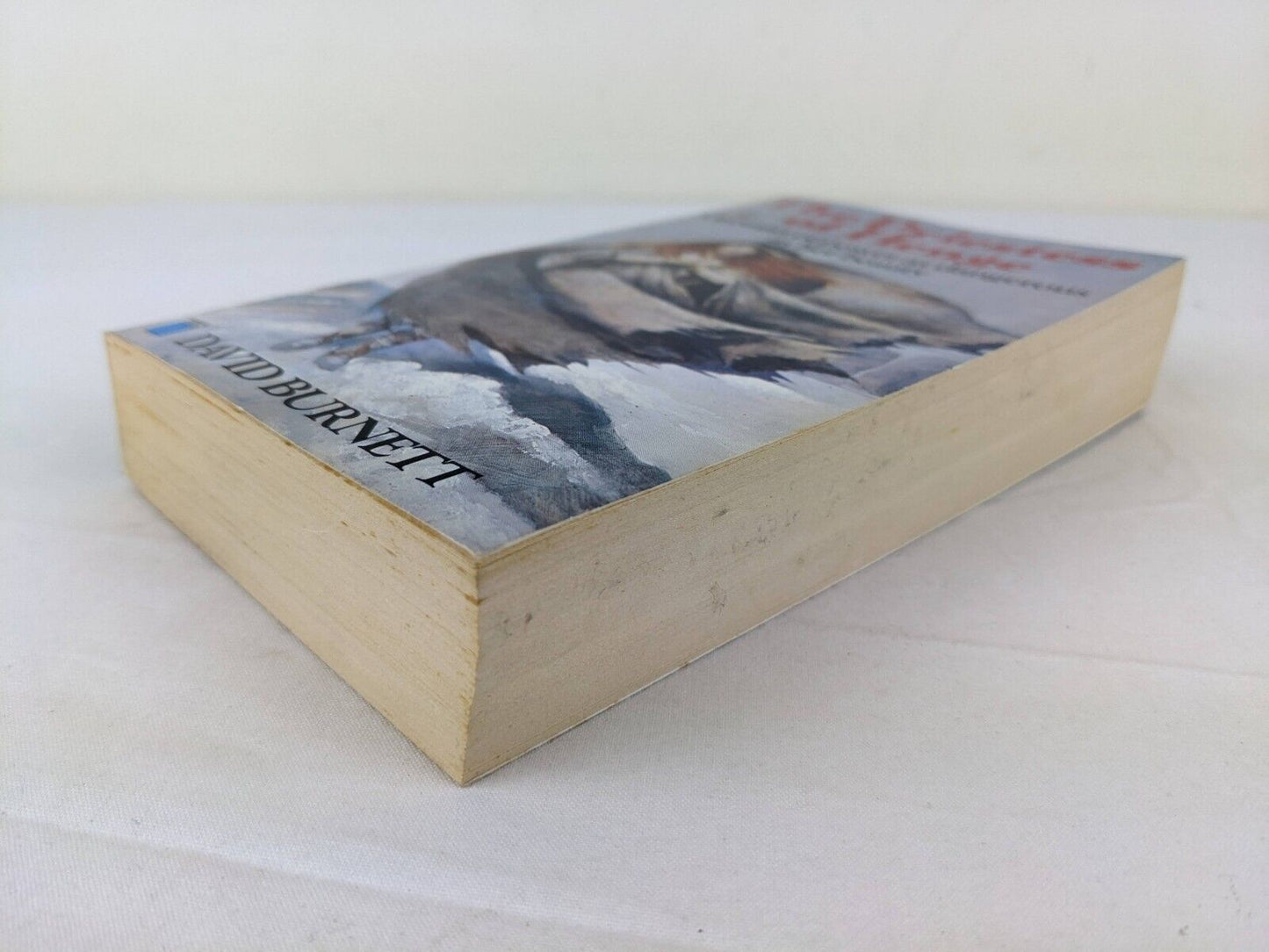 The priestess of Henge by David Burnett 1982