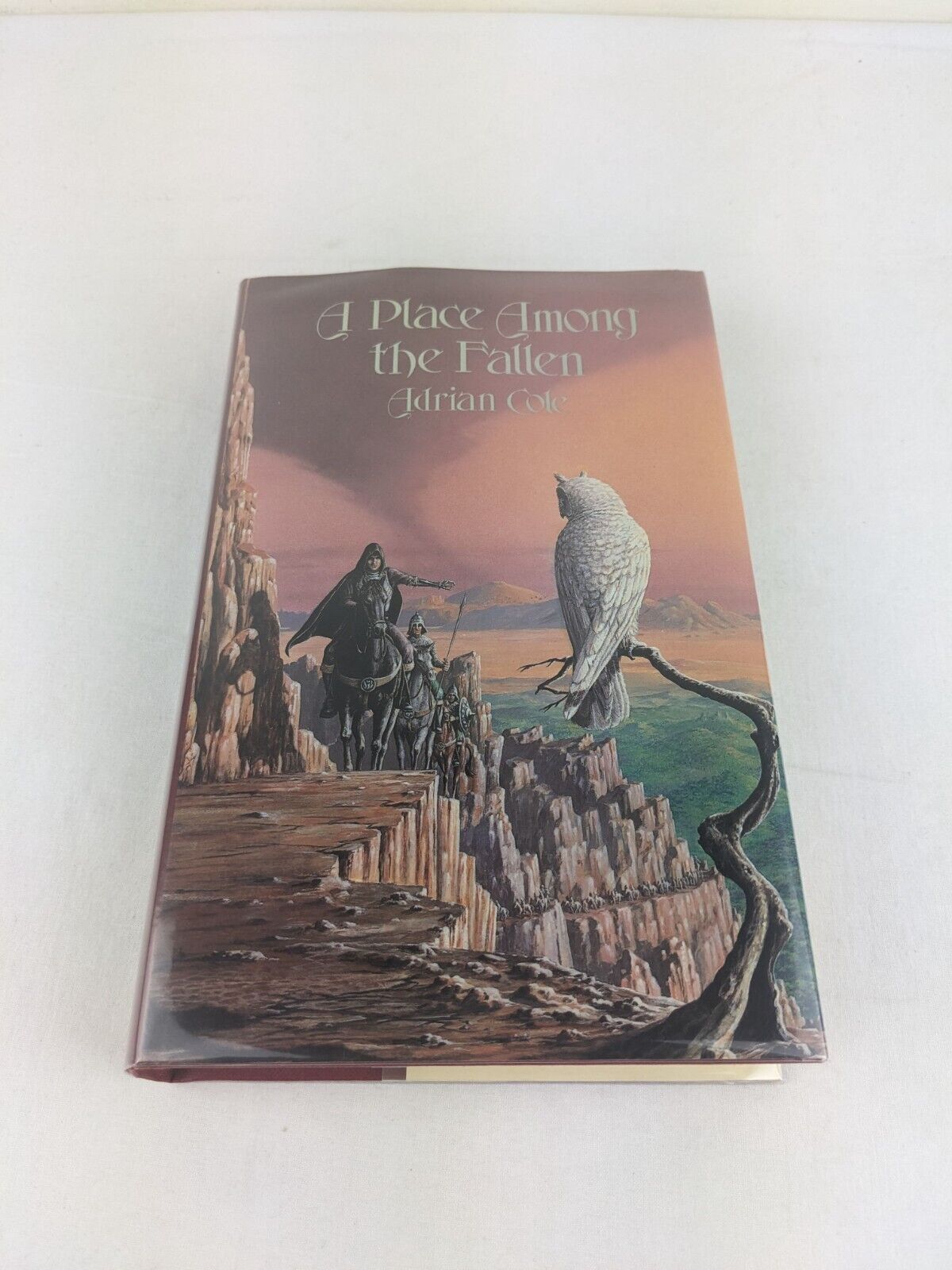 A place among the fallen by Adrian Cole 1986 Hardcover The Omaran Saga