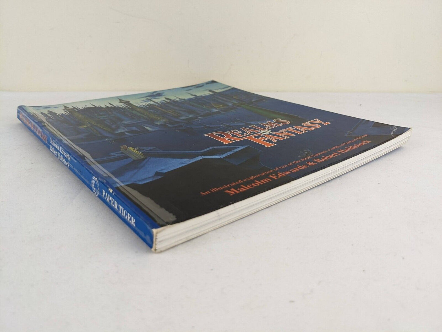 Realms of fantasy by Malcolm Edwards & Robert Holdstock 1983 Fantasy Art