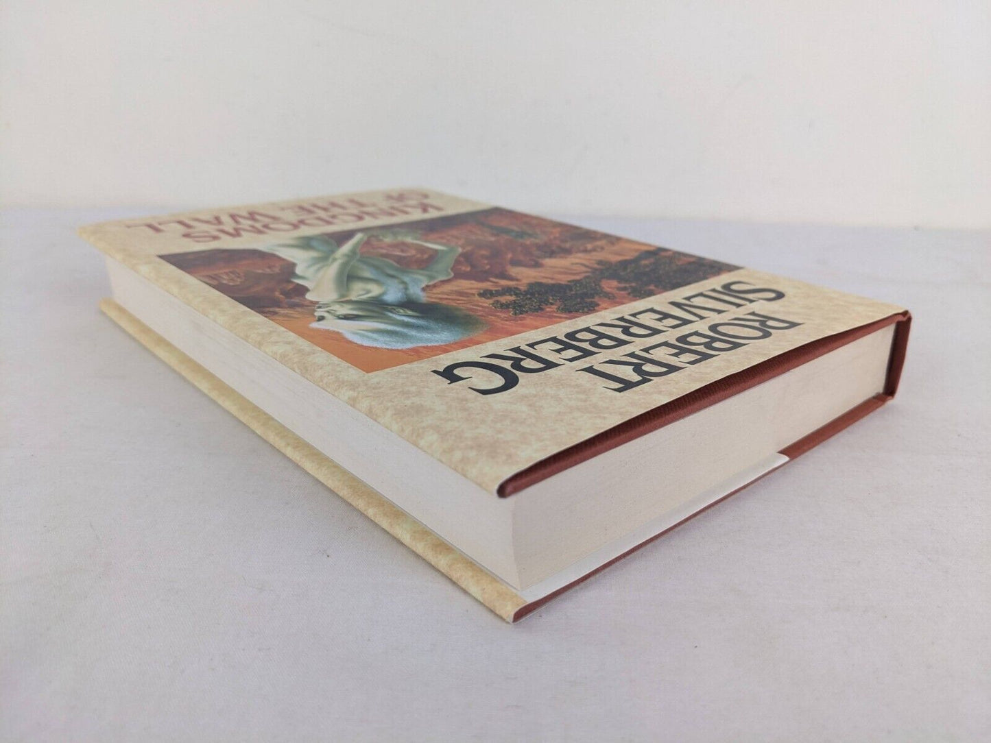 Kingdoms of the wall by Robert Silverberg 1992 Hardcover