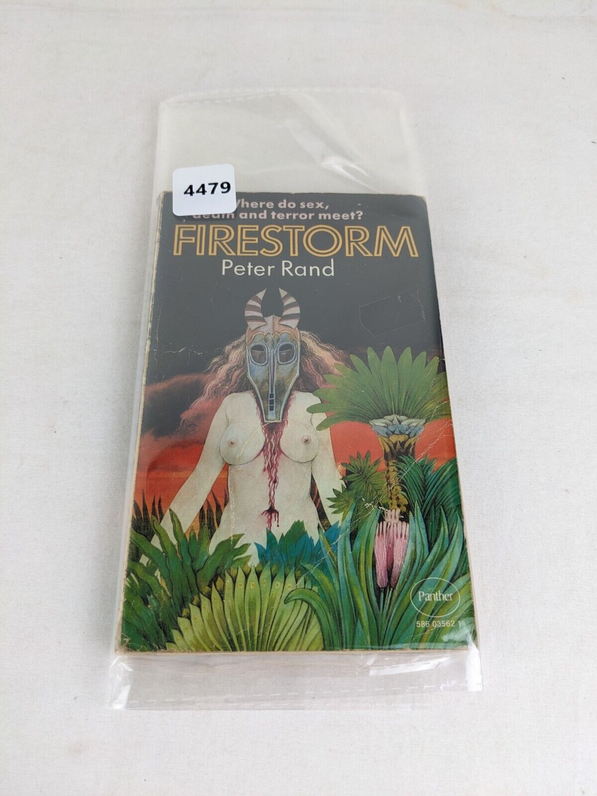 Firestorm by Peter Rand 1971 Occult Strange Fiction