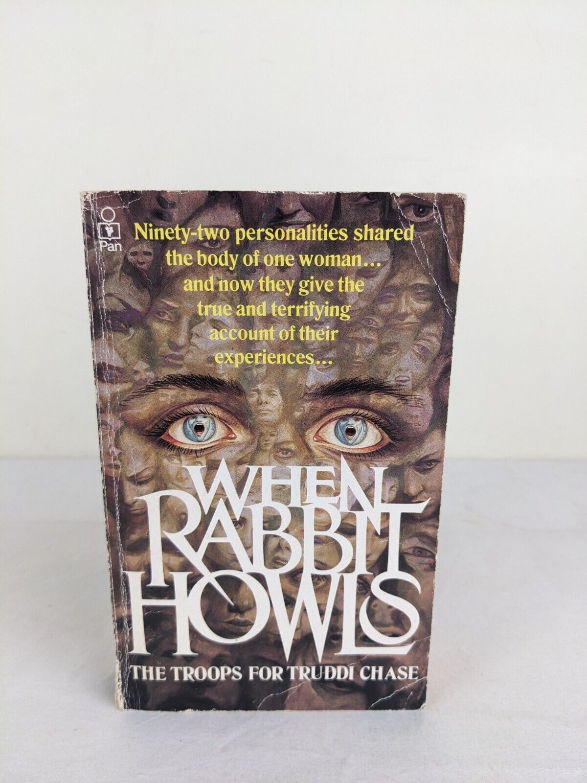 When rabbit howls: The troops for Truddi Chase 1988 Multiple Personalities