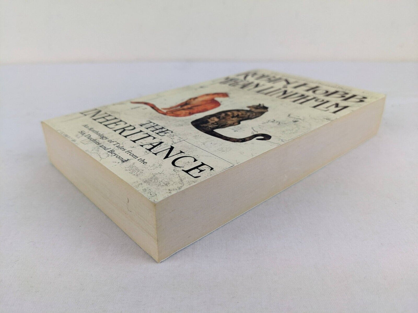 The inheritance by Megan Lindholm & Robin Hobb 2011