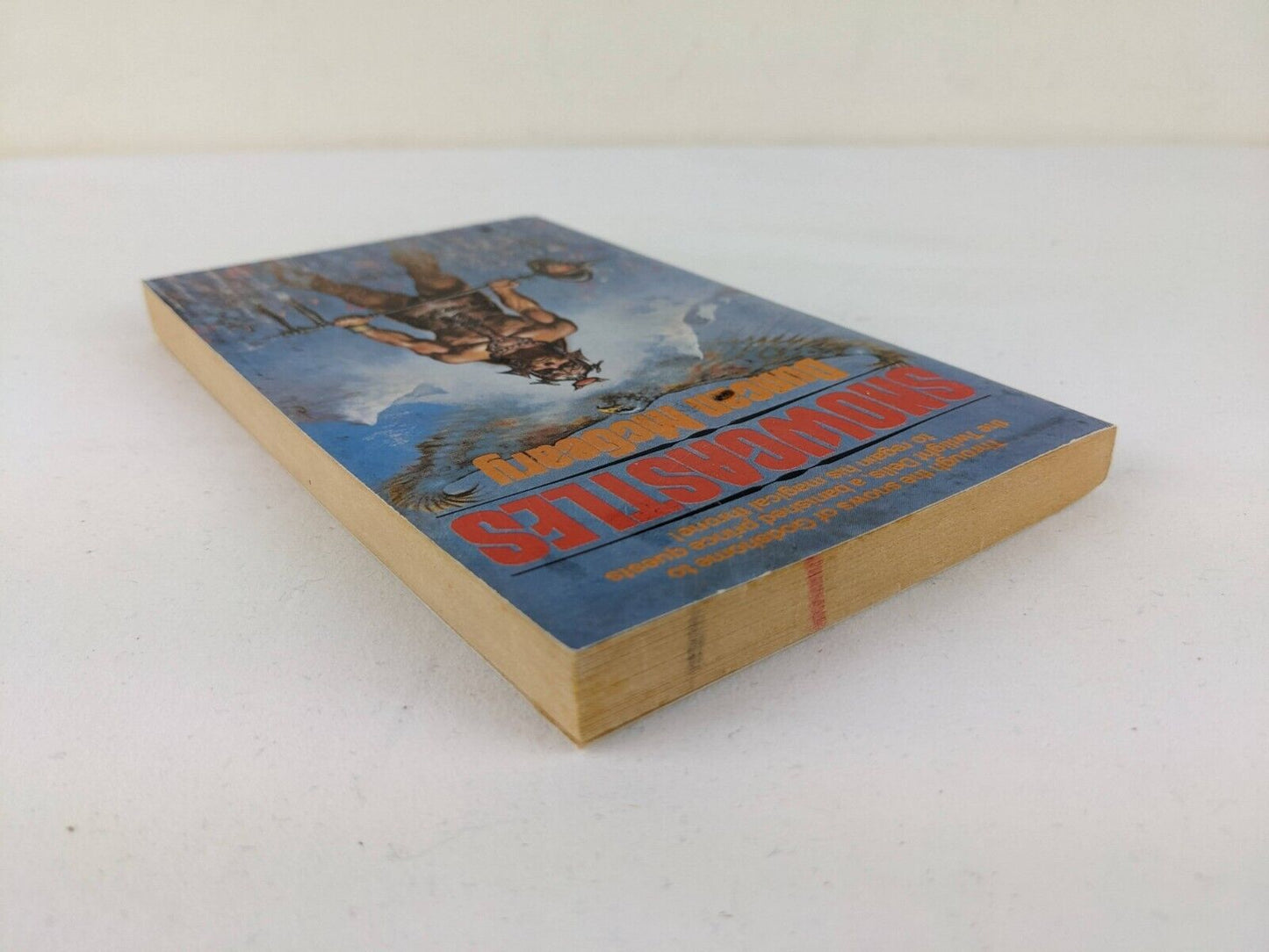 Snowcastles by Duncan McGeary 1983 Sword and Sorcery