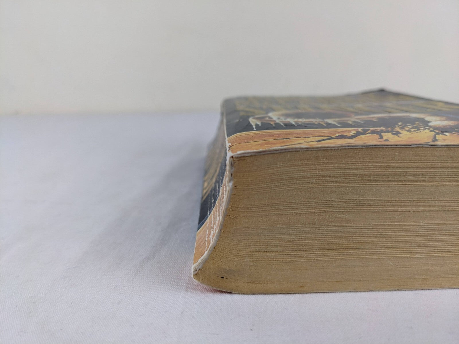 4897036