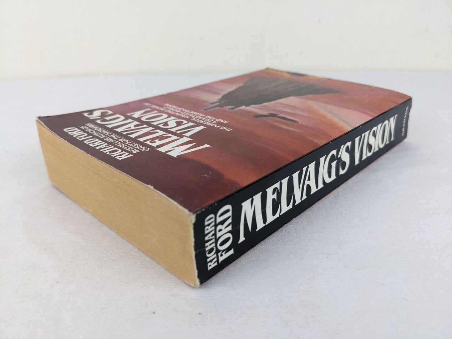 Melvaig's Vision by Richard Ford 1985