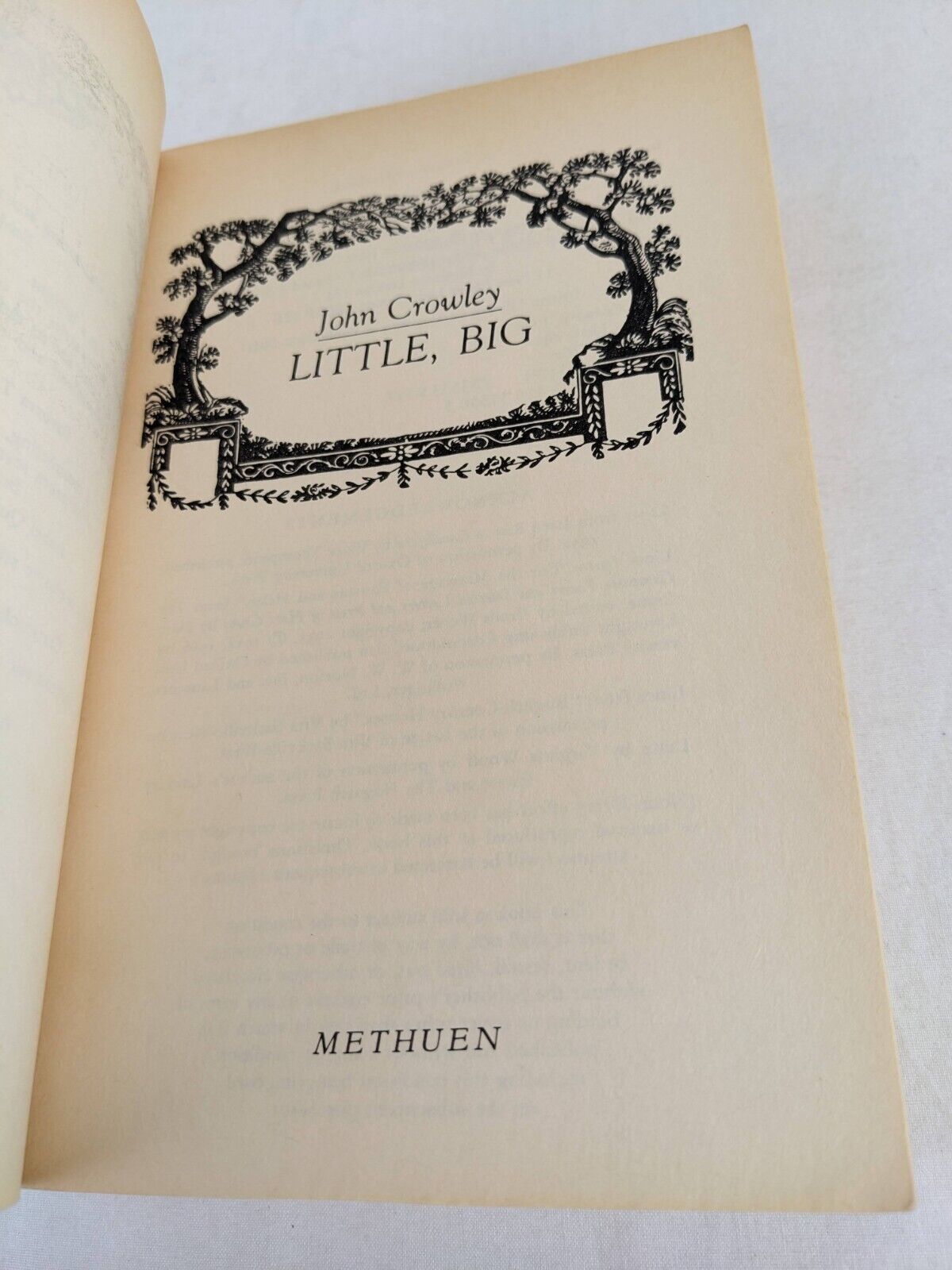 Little big by John Crowley 1983 Methuen