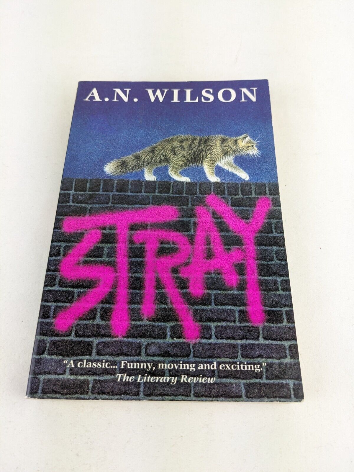 Stray by A.N. Wilson 2002