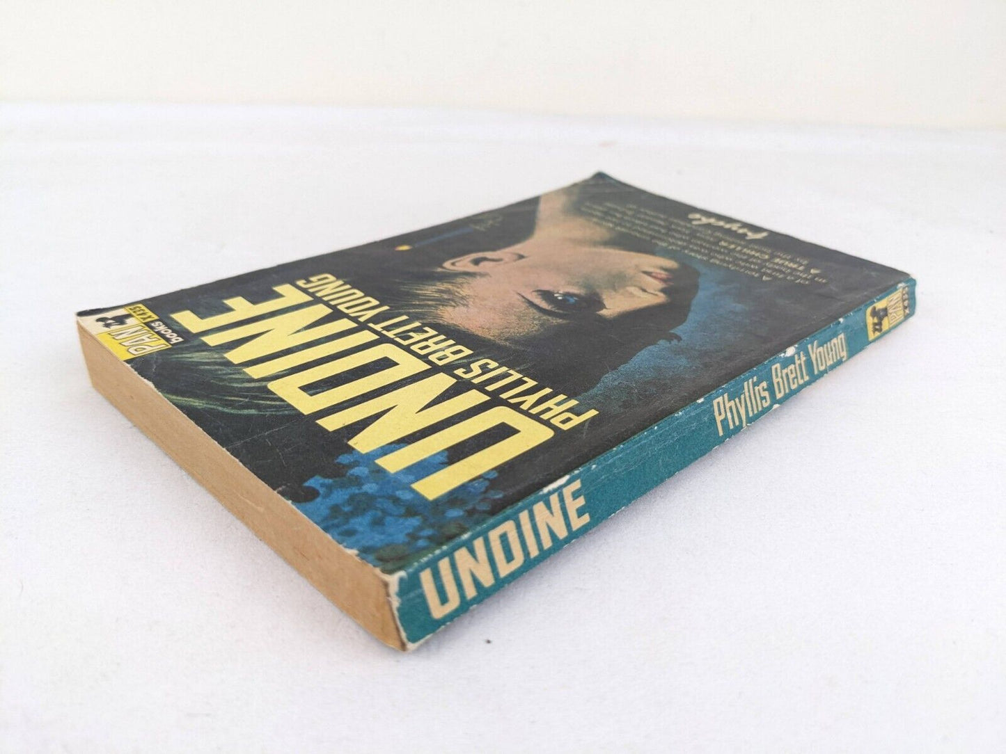 Undine by Phyllis Brett Young 1965 Vintage Pan Books