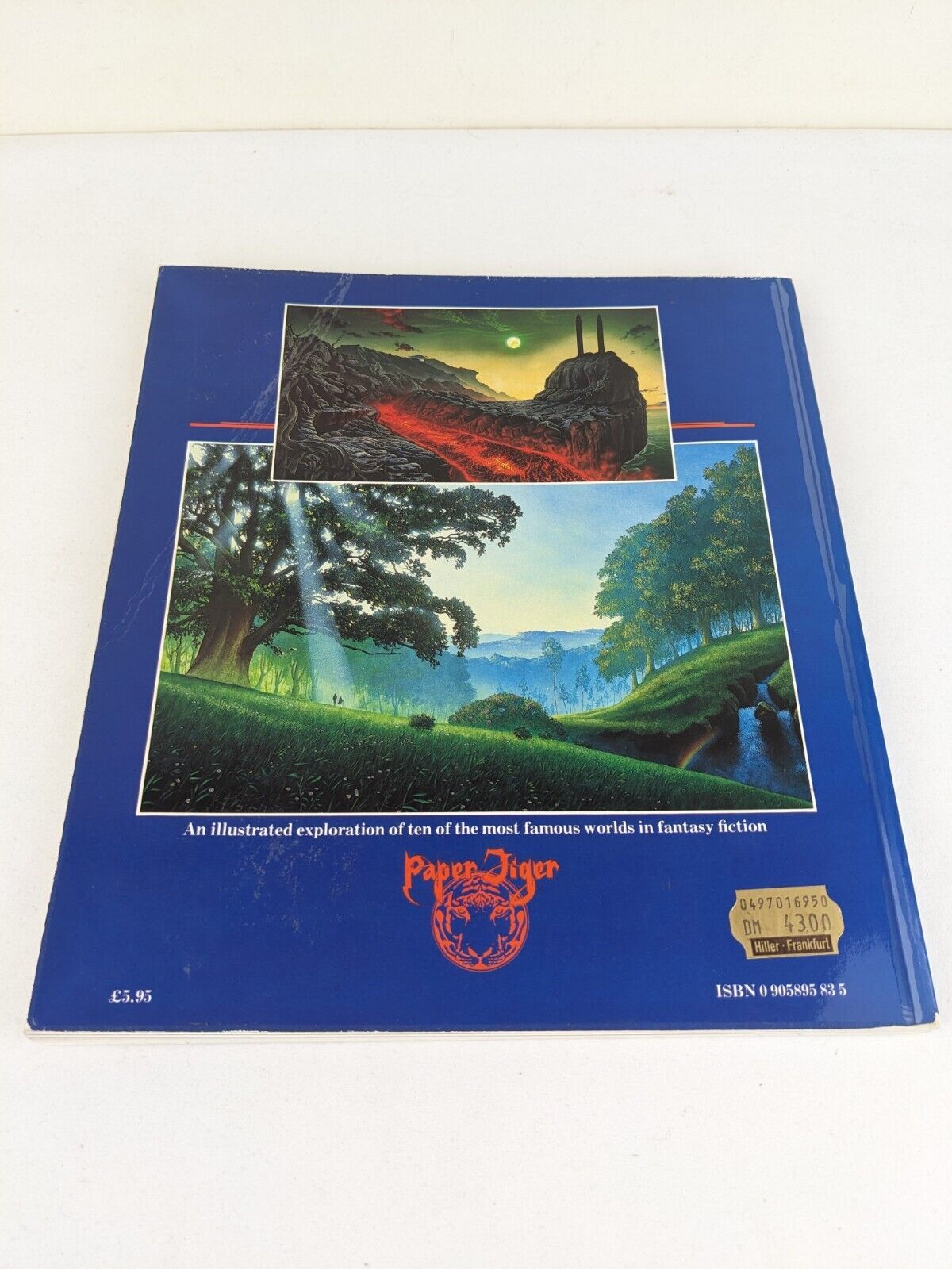 Realms of fantasy by Malcolm Edwards & Robert Holdstock 1983 Fantasy Art