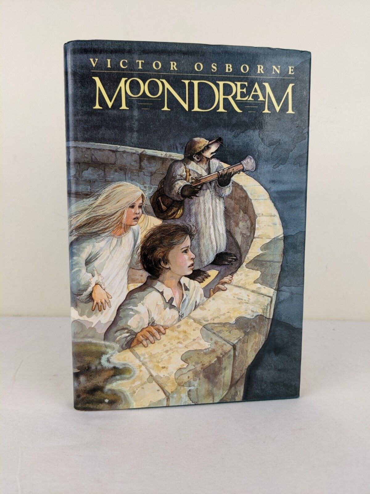 Moondream by Victor Osborne First edition hardcover 1989