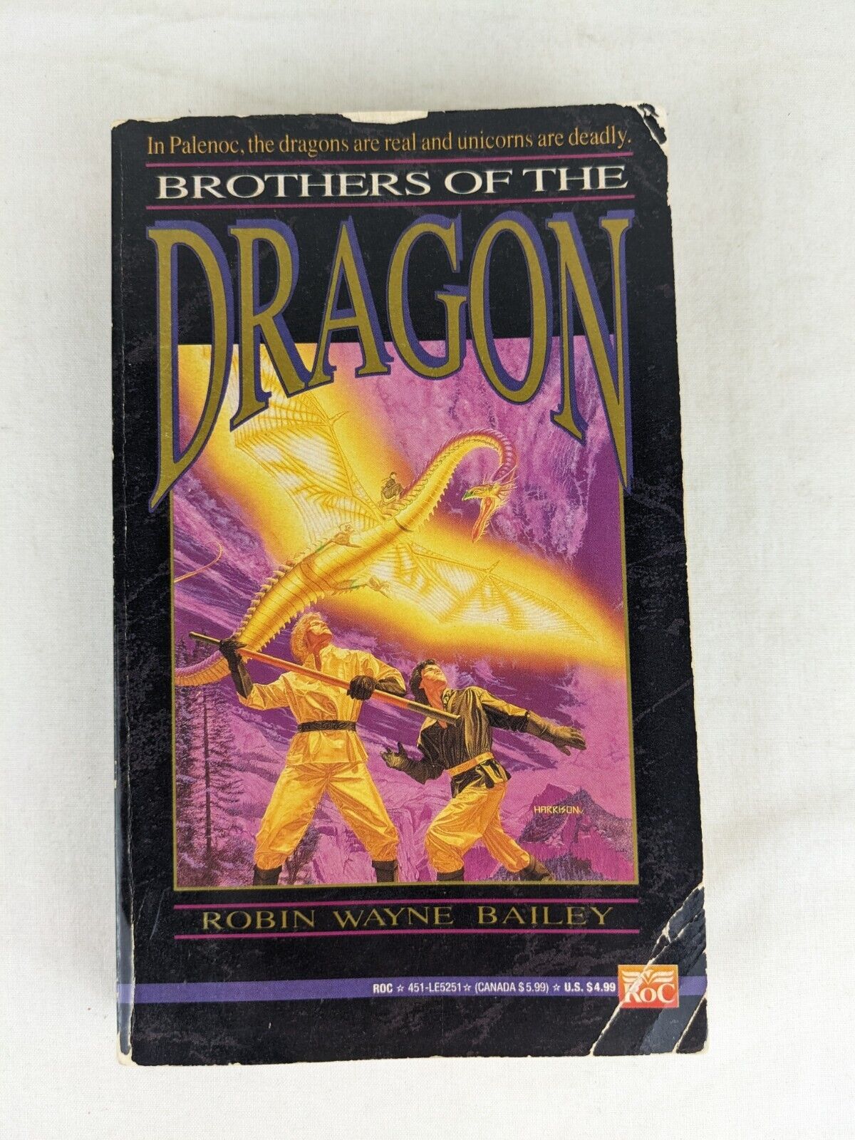 brothers of the dragon by Robin Wayne Bailey 1993