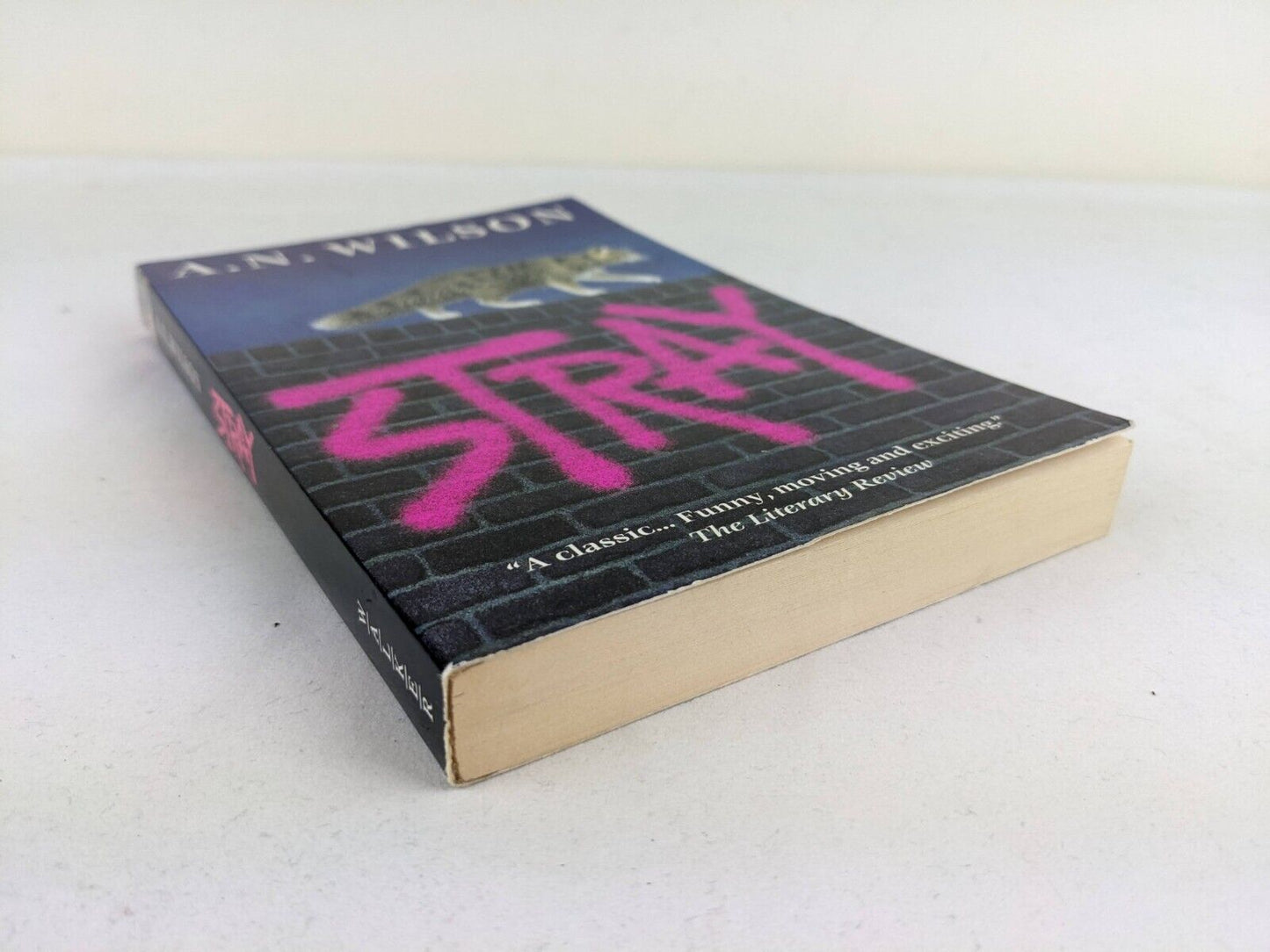 Stray by A.N. Wilson 2002