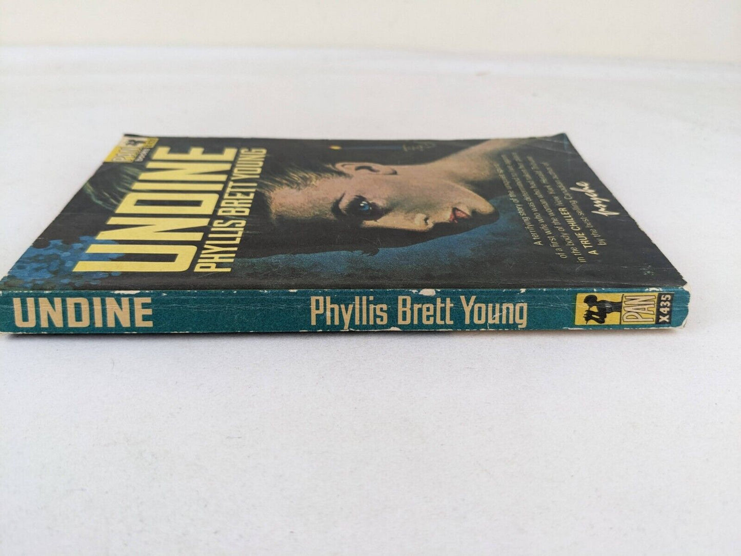 Undine by Phyllis Brett Young 1965 Vintage Pan Books