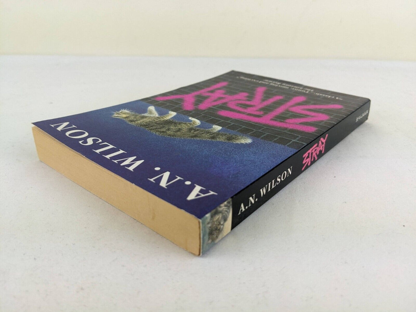Stray by A.N. Wilson 2002