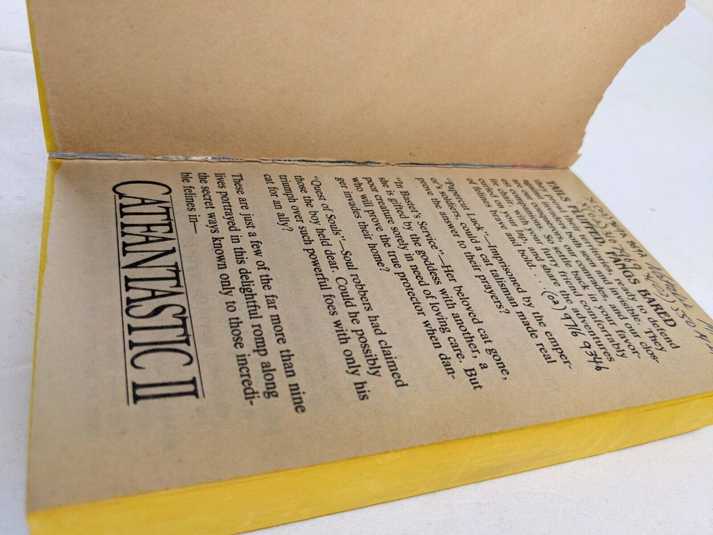 Catfantastic series x 4 by Andre Norton / Martin H. Greenberg 1991 Short Stories